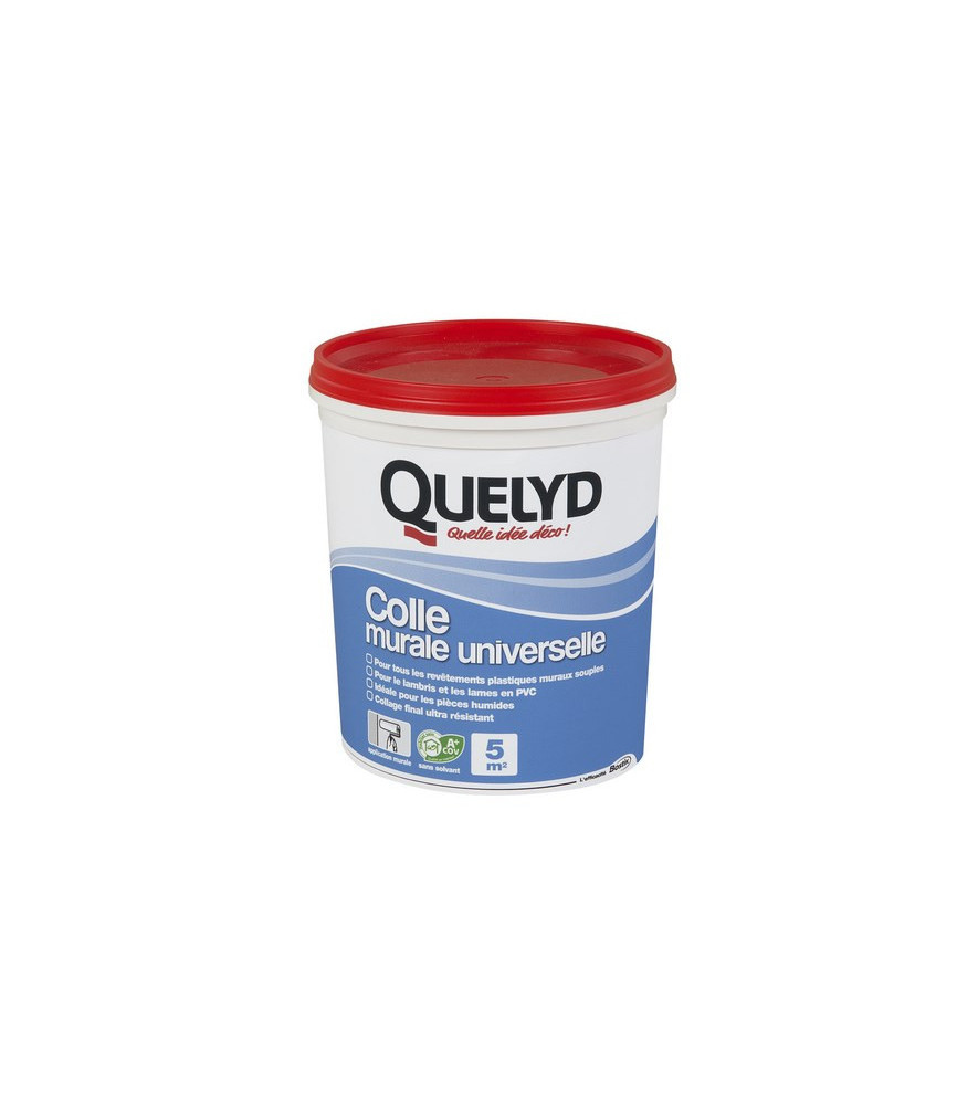 Colle QUELYD murale universelle 1kg