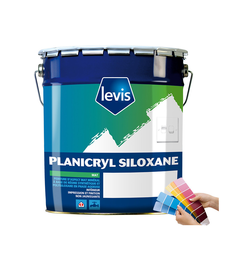 Peinture LEVIS Planicryl siloxane blanc 5L