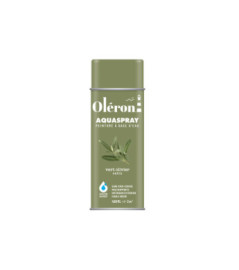 Aérosol TECHNIMA Aquaspray Oléron vert olivier satiné 400ml