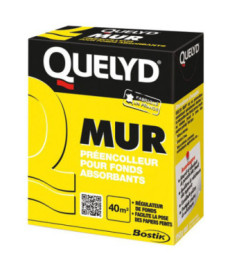 Pré-encolleur assainissant QUELYD PRO Mur 250g