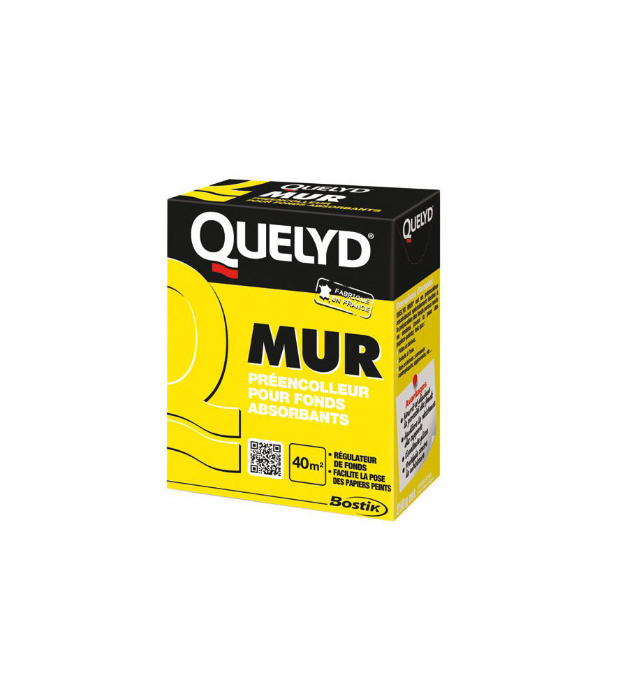 Pré-encolleur assainissant QUELYD PRO Mur 250g