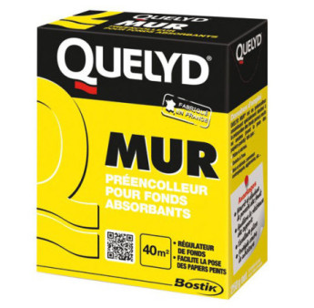 Pré-encolleur assainissant QUELYD PRO Mur 250g