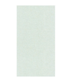 Papier Peint CASADECO Empreinte EMPR88706120