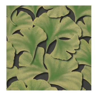 Papier Peint CASADECO Ginkgo GINK86247431