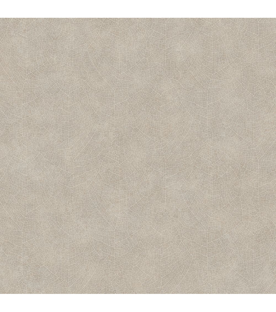 Papier Peint CASADECO So Color 5 COLR26211204 Papier Peint CASADECO So Color 5 COLR26211204