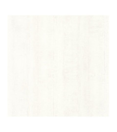 Papier Peint CASADECO So Color 5 COLR88060116