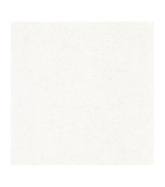 Papier Peint CASADECO So Color 5 COLR88090101