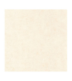 Papier Peint CASADECO So Color 5 COLR88091138