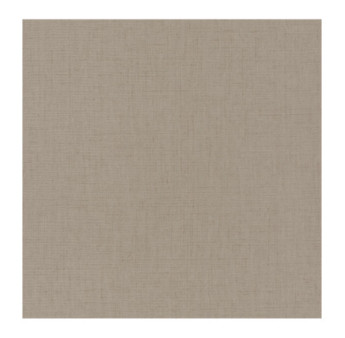 Papier Peint CASADECO Textiles TEXI85321719