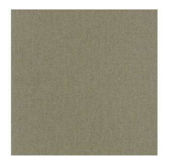 Papier Peint CASADECO Textiles TEXI85327803