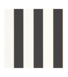 Papier Peint CASELIO Basics BAI101072092