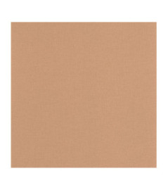 Papier Peint CASELIO Basics BAI64524344