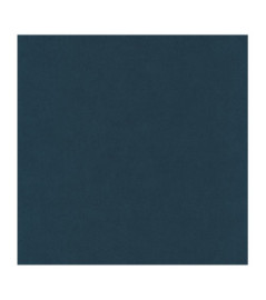 Papier Peint CASELIO Basics BAI64526060
