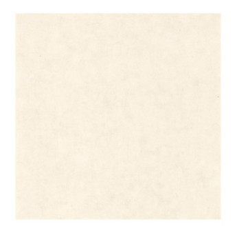 Papier Peint CASELIO Beton 2 BTO101480010