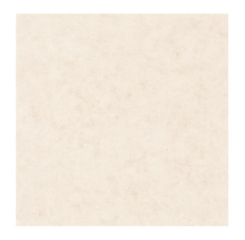 Papier Peint CASELIO Beton 2 BTO101481002
