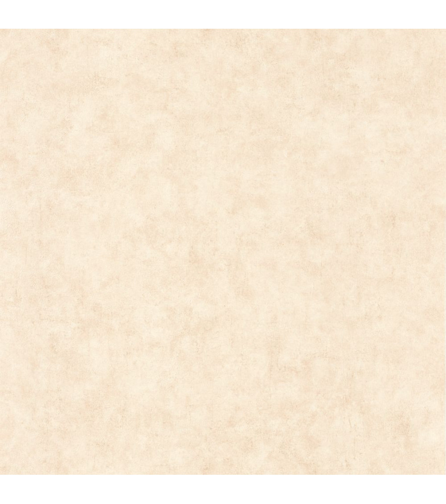 Papier Peint CASELIO Beton 2 BTO101481123 Papier Peint CASELIO Beton 2 BTO101481123