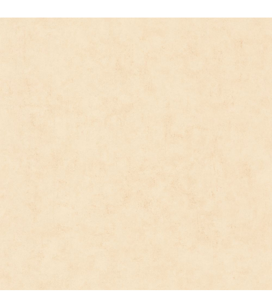 Papier Peint CASELIO Beton 2 BTO101481247 Papier Peint CASELIO Beton 2 BTO101481247