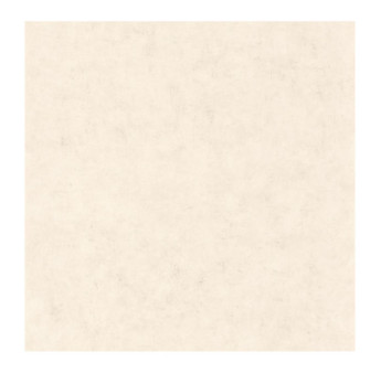 Papier Peint CASELIO Beton 2 BTO101481258