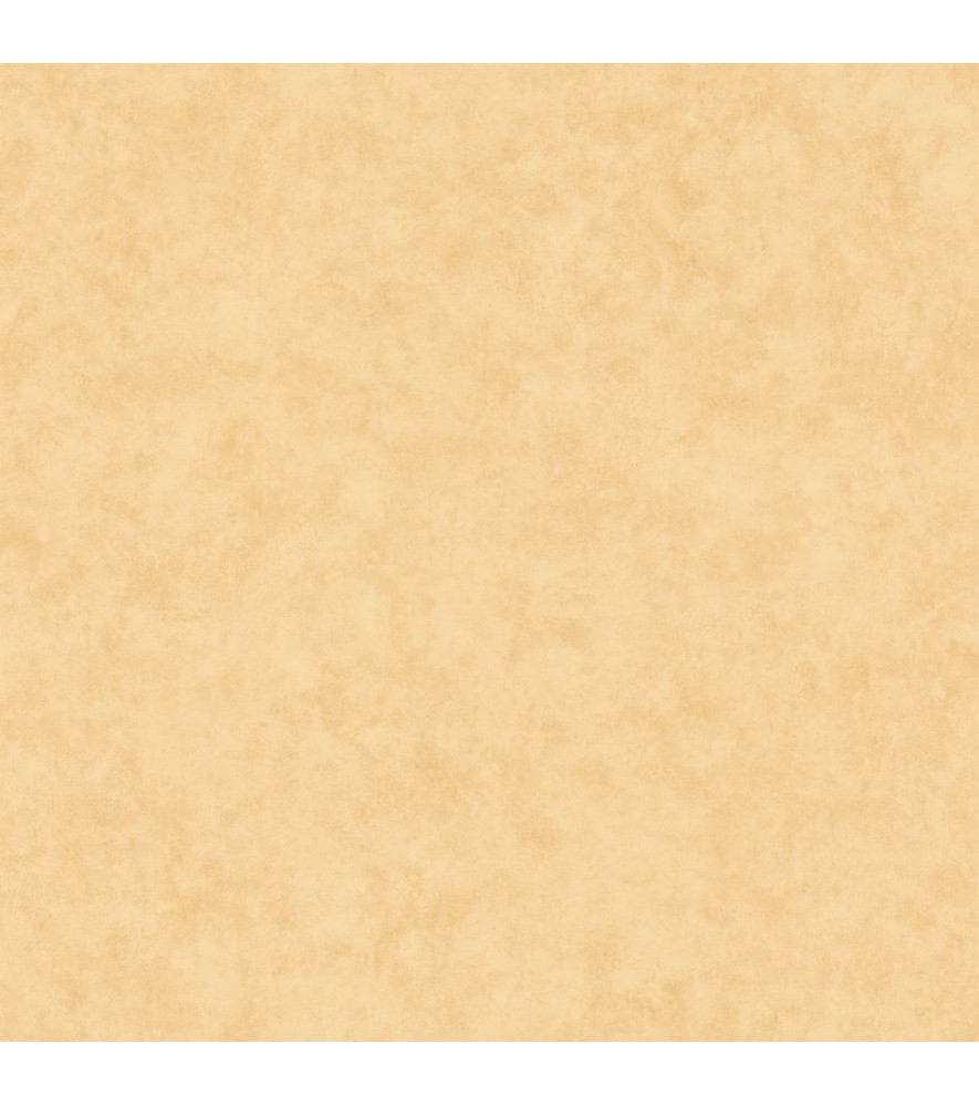 Papier Peint CASELIO Beton 2 BTO101481515 Papier Peint CASELIO Beton 2 BTO101481515