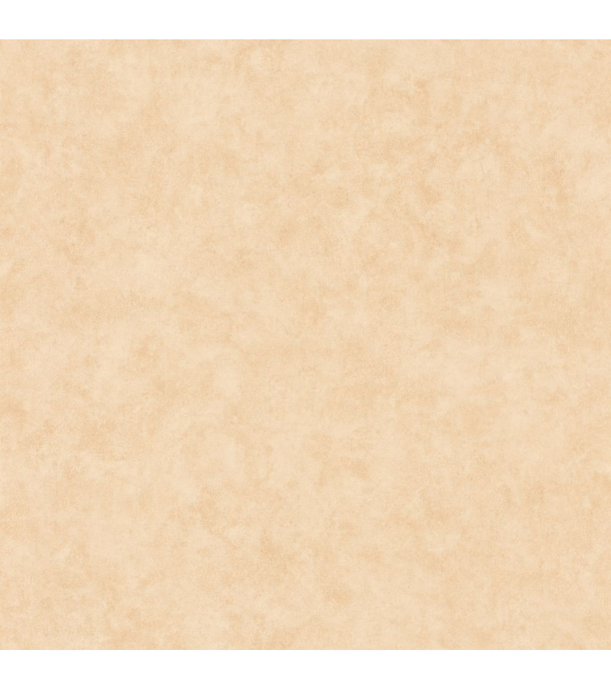 Papier Peint CASELIO Beton 2 BTO101481674 Papier Peint CASELIO Beton 2 BTO101481674