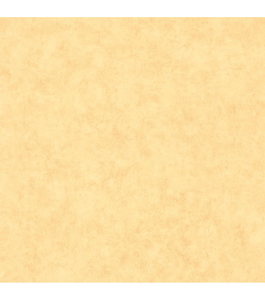 Papier Peint CASELIO Beton 2 BTO101482200 Papier Peint CASELIO Beton 2 BTO101482200