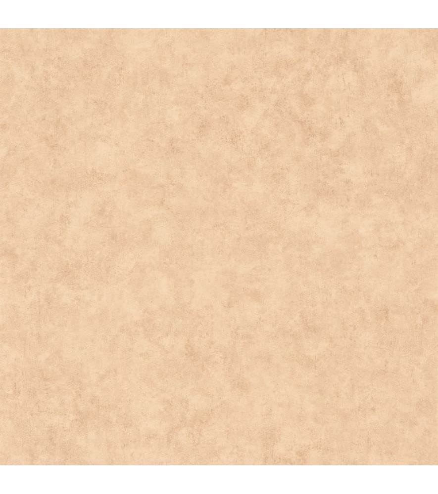 Papier Peint CASELIO Beton 2 BTO101482446 Papier Peint CASELIO Beton 2 BTO101482446