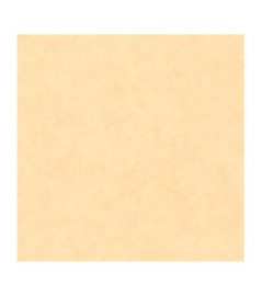 Papier Peint CASELIO Beton 2 BTO101483100