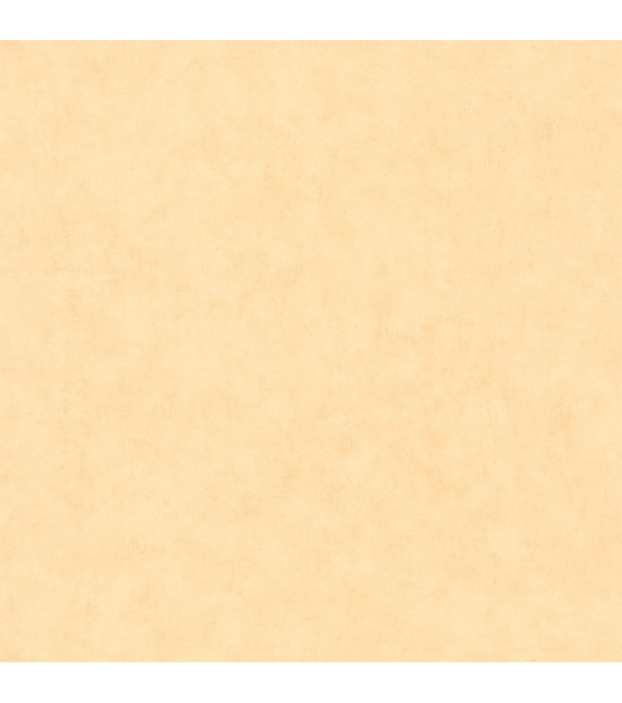 Papier Peint CASELIO Beton 2 BTO101483100 Papier Peint CASELIO Beton 2 BTO101483100