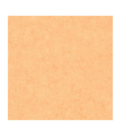 Papier Peint CASELIO Beton 2 BTO101483250