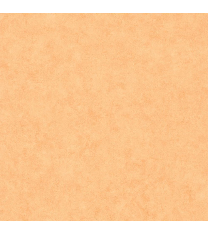 Papier Peint CASELIO Beton 2 BTO101483250 Papier Peint CASELIO Beton 2 BTO101483250