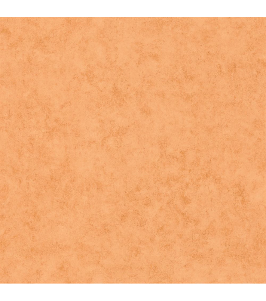 Papier Peint CASELIO Beton 2 BTO101483312 Papier Peint CASELIO Beton 2 BTO101483312