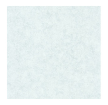 Papier Peint CASELIO Beton 2 BTO101486012