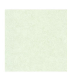 Papier Peint CASELIO Beton 2 BTO101487042