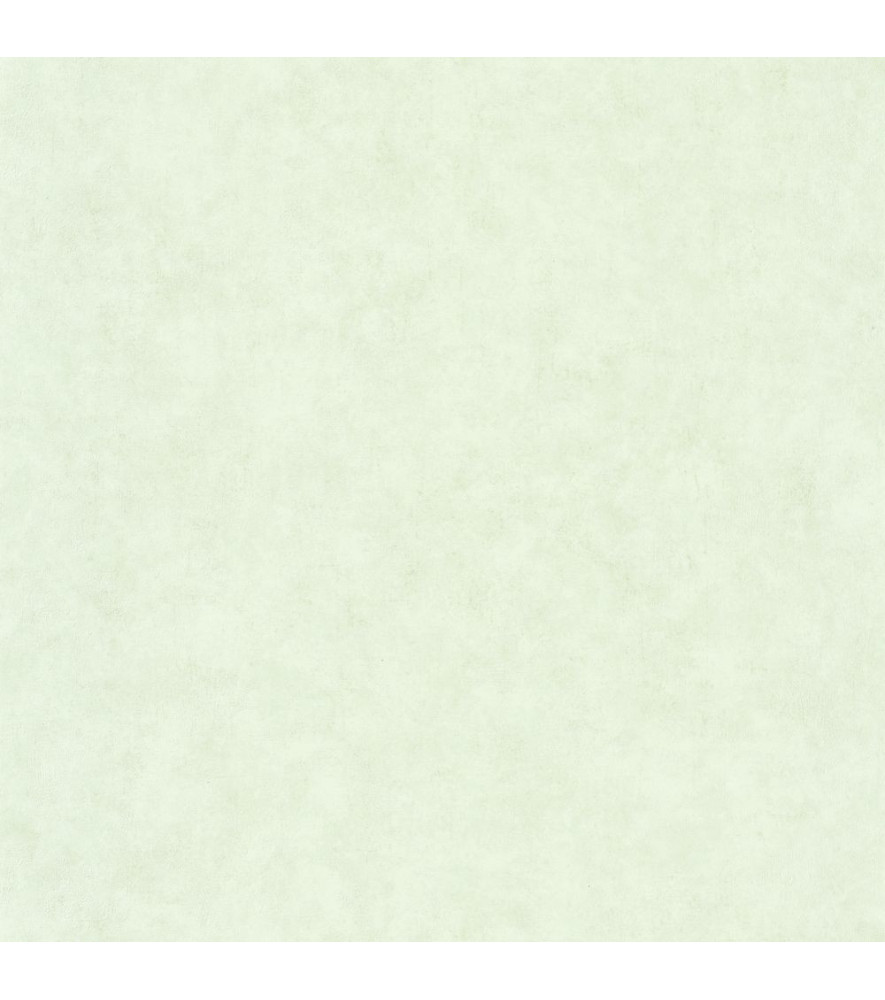 Papier Peint CASELIO Beton 2 BTO101487042 Papier Peint CASELIO Beton 2 BTO101487042