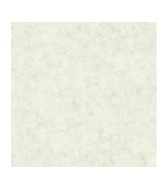 Papier Peint CASELIO Beton 2 BTO101487140