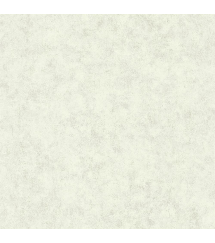 Papier Peint CASELIO Beton 2 BTO101487140 Papier Peint CASELIO Beton 2 BTO101487140