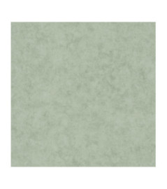 Papier Peint CASELIO Beton 2 BTO101487332