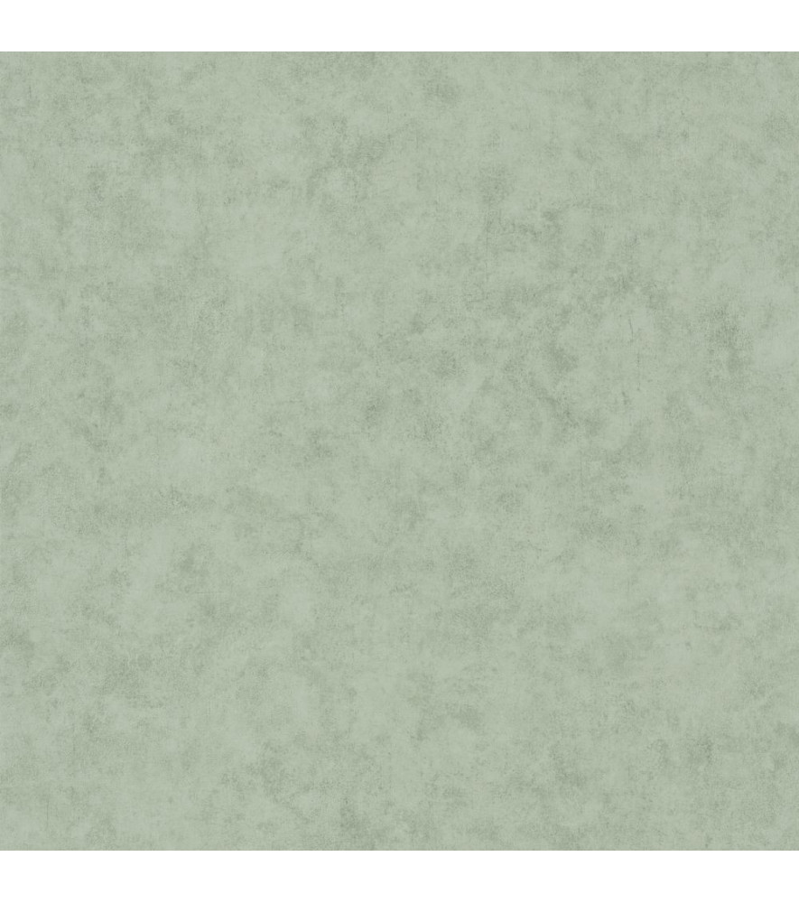 Papier Peint CASELIO Beton 2 BTO101487332 Papier Peint CASELIO Beton 2 BTO101487332