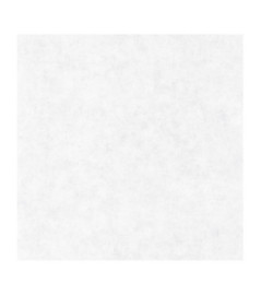 Papier Peint CASELIO Beton 2 BTO101489000