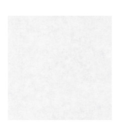 Papier Peint CASELIO Beton 2 BTO101489000