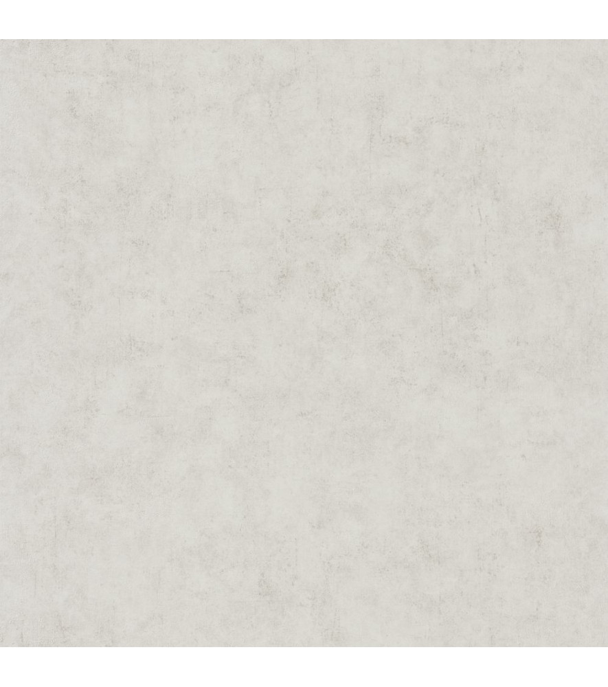 Papier Peint CASELIO Beton 2 BTO101489050 Papier Peint CASELIO Beton 2 BTO101489050