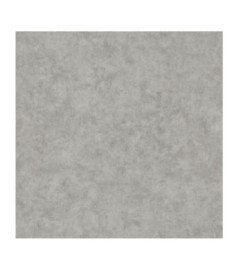 Papier Peint CASELIO Beton 2 BTO101489243