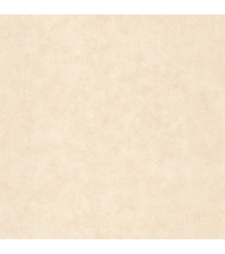 Papier Peint CASELIO Beton 2 BTO101491460 Papier Peint CASELIO Beton 2 BTO101491460