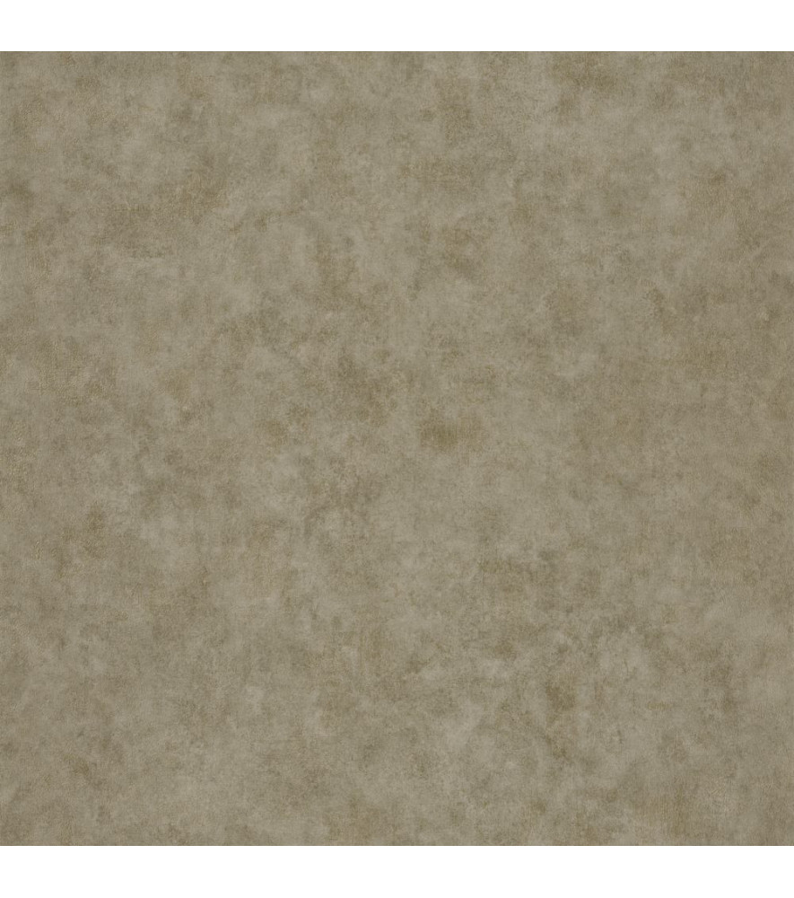 Papier Peint CASELIO Beton 2 BTO101497420 Papier Peint CASELIO Beton 2 BTO101497420
