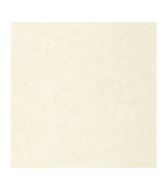 Papier Peint CASELIO Céramique CER105240000