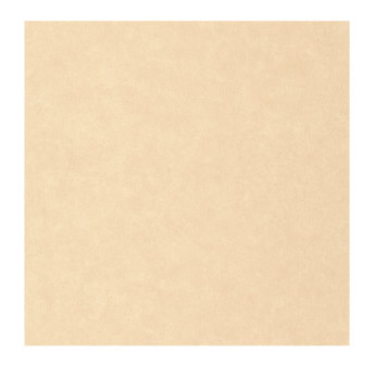Papier Peint CASELIO Céramique CER105241515