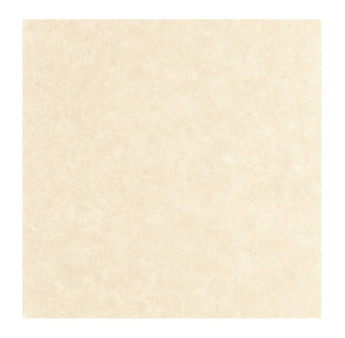 Papier Peint CASELIO Céramique CER105241730