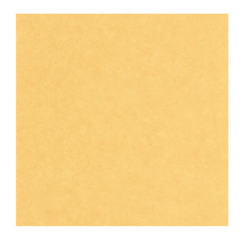 Papier Peint CASELIO Céramique CER105242570
