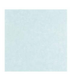 Papier Peint CASELIO Céramique CER105246001