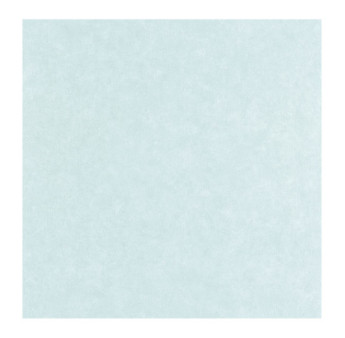 Papier Peint CASELIO Céramique CER105246001
